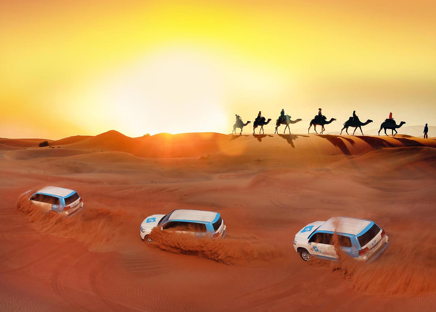 Witness The Nature And Beauty of the Desert In Dubai