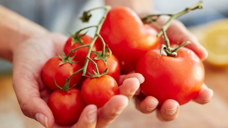 Tomatoes have many health benefits